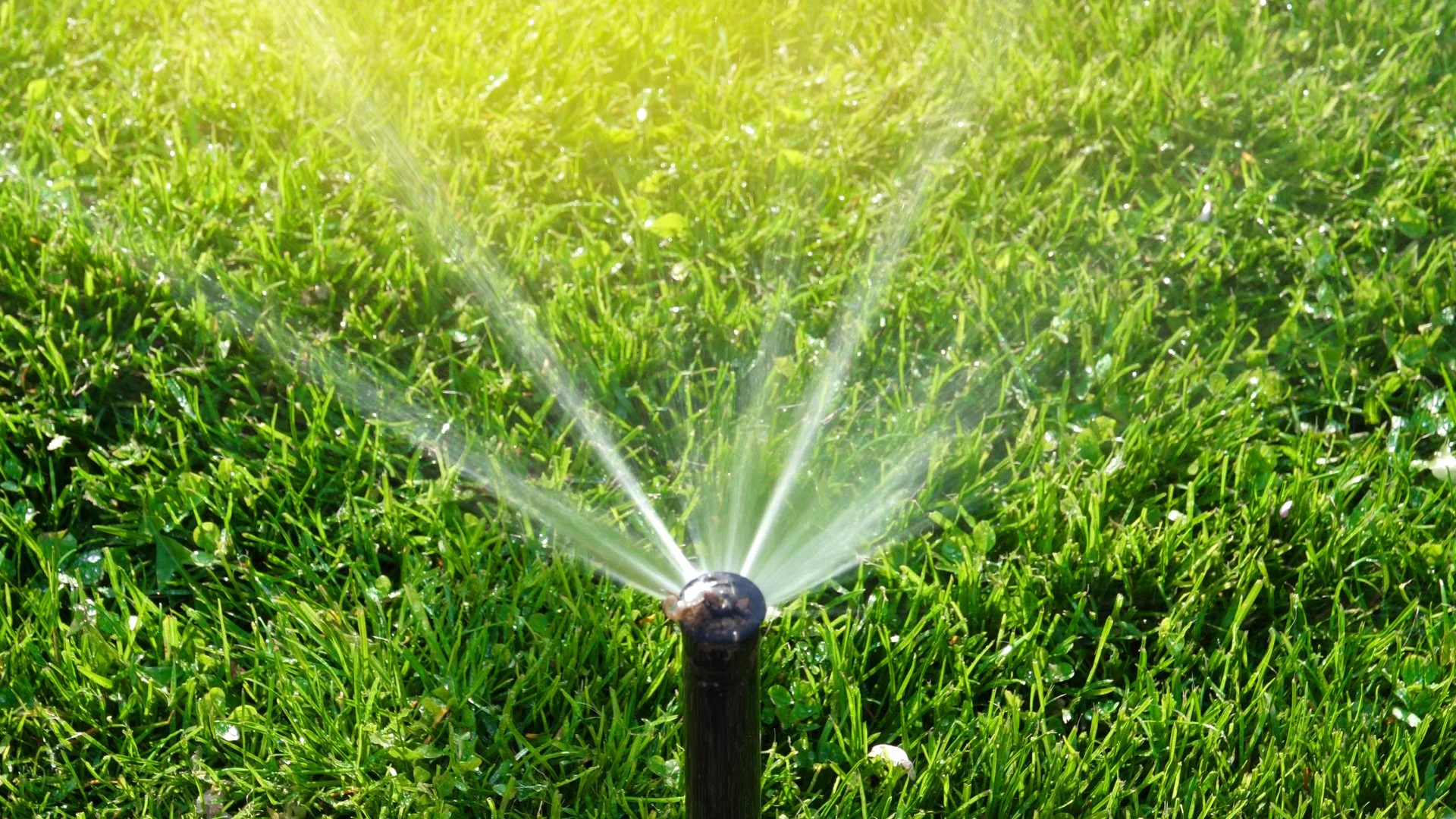 How Much Will It Cost to Have Your Irrigation System Repaired by Pros?