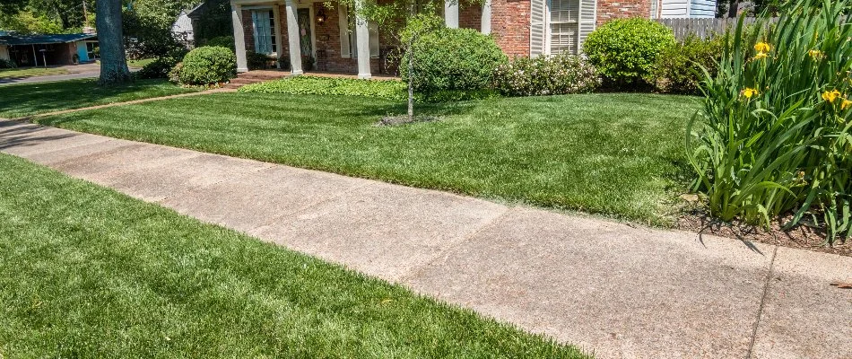 A brick house in Memphis, TN, with a weed-free lawn and yellow flowers.