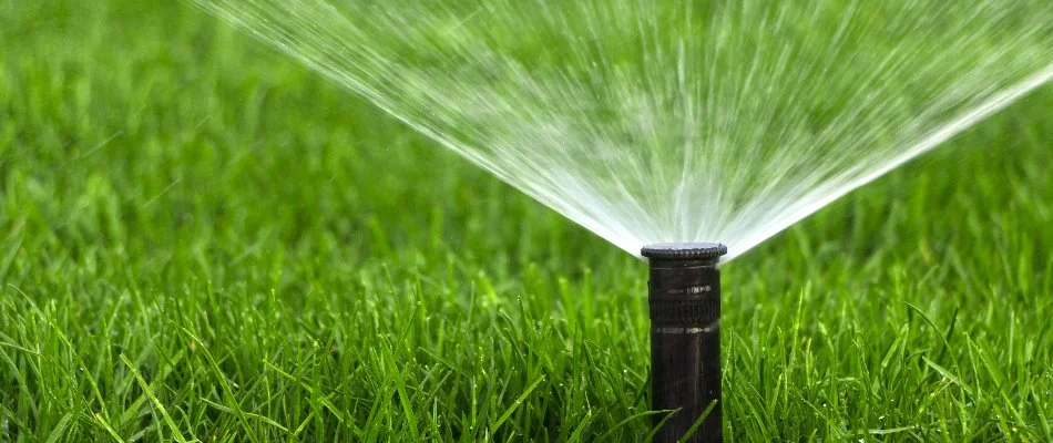 Sprinkler head spraying lawn in Memphis, TN.