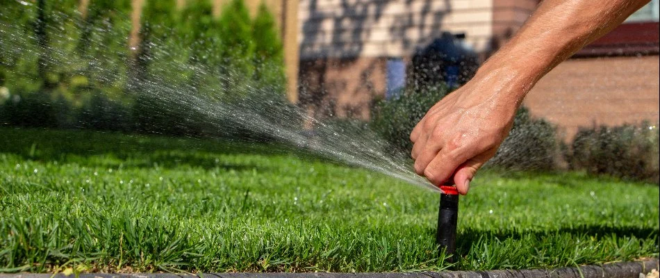 Professional repairing sprinkler head that's watering grass in Memphis, TN.