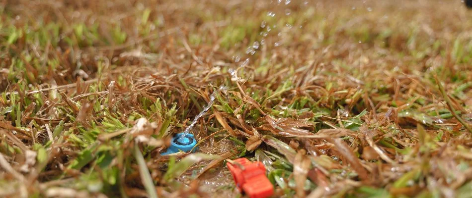 Sprinkler head in Memphis, TN, with low water pressure.