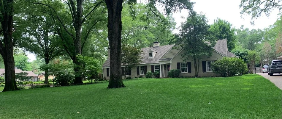 A charming home surrounded by a lush green lawn and large trees, set in a quiet neighborhood, with a winding road visible in the foreground.