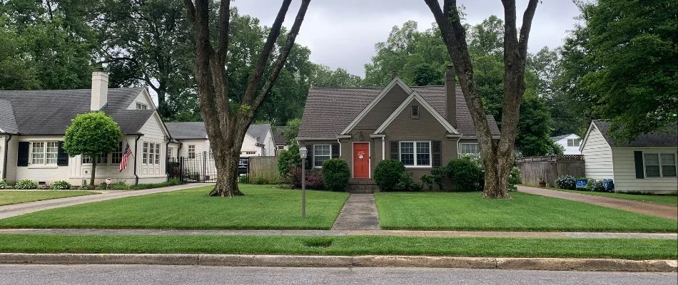 A serene view of charming houses in a quiet neighborhood, featuring large trees, well-kept lawns, and a welcoming front entrance with a red door, under a cloudy sky.