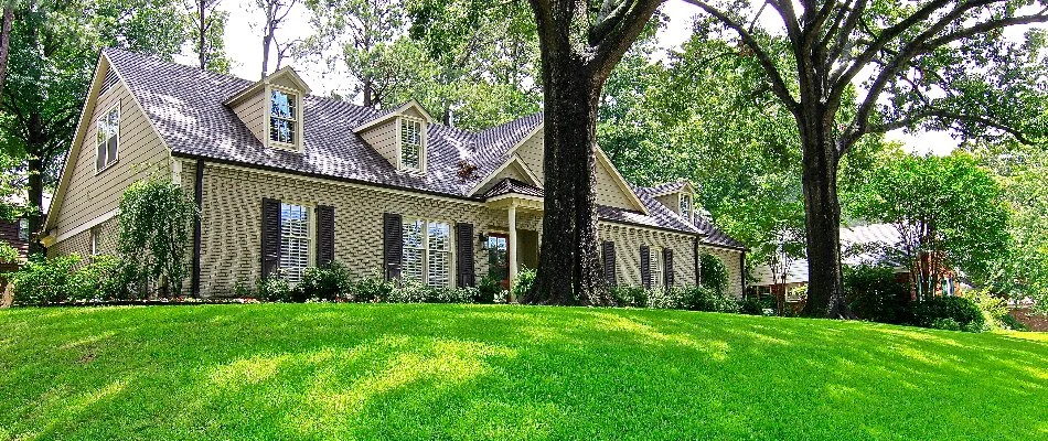 A vibrant, green lawn on a property in Brownsville, TN.