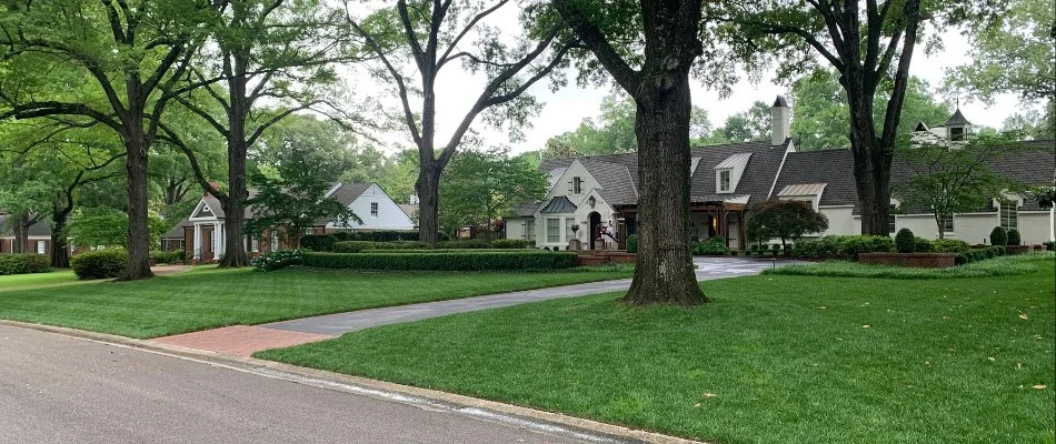 A picturesque view of a tree-lined street featuring charming homes with well-maintained lawns, large trees, and a paved path, creating a serene neighborhood atmosphere.